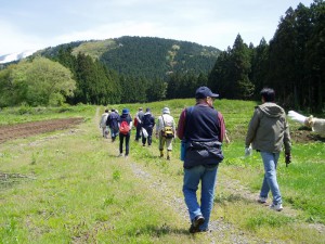 春の山野草ハイキングとそば打ち体験 春の山野草ハイキングとそば打ち体験