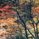 紅葉の高瀬峡ハイキング