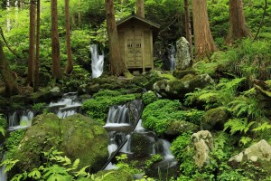 胴腹の滝から巡る湧水・歴史探訪と、打ちたてそば昼食 胴腹の滝から巡る湧水・歴史探訪と、打ちたてそば昼食